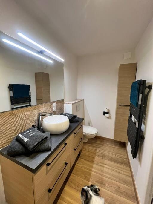 Toilet, Bathroom