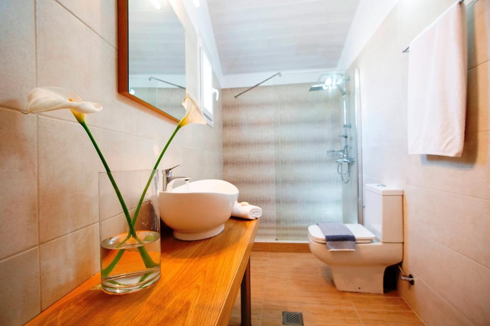 Shower, Toilet, Bathroom, towels