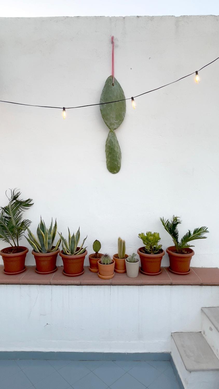 Balcony/Terrace, Decorative detail