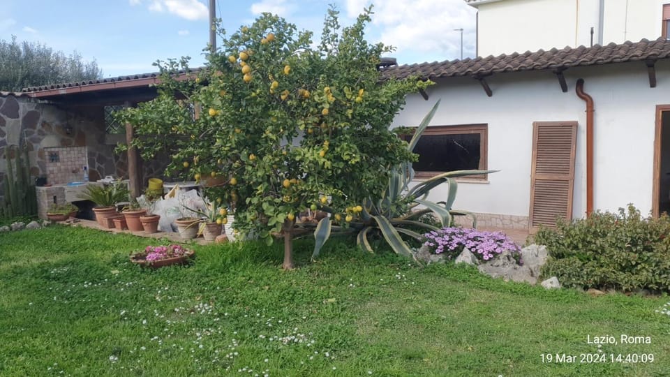 Garden, Garden view