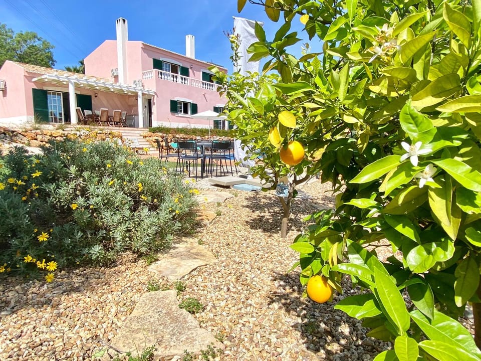 Spring, Day, Garden, Garden view