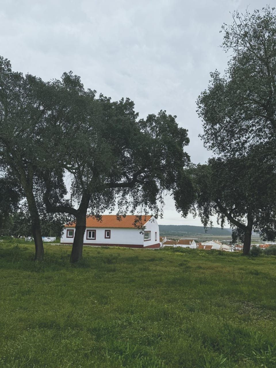 Natural landscape, Garden, Garden view, Street view
