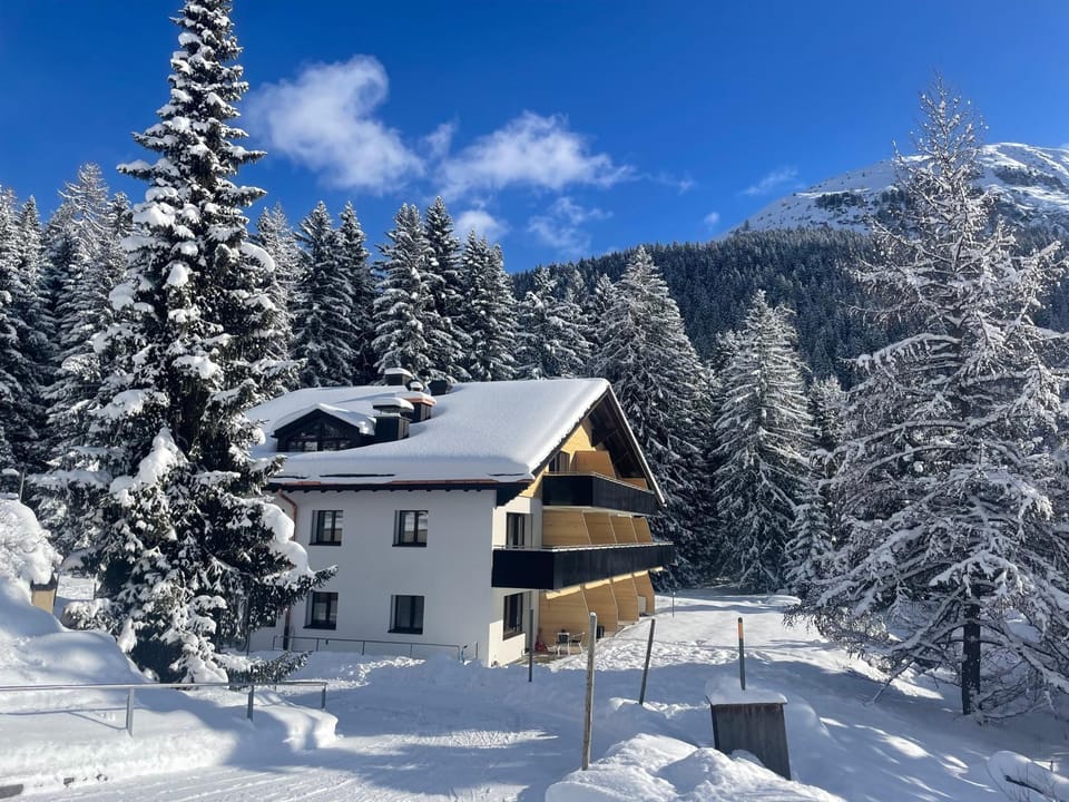 Property building, Winter