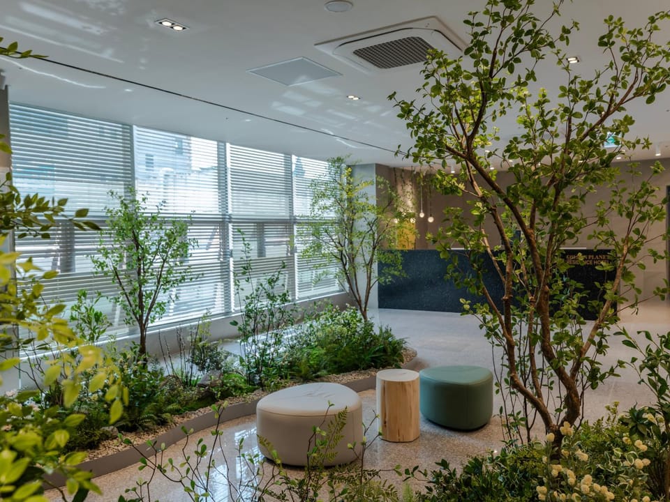 Communal lounge/ TV room, Lobby or reception, Seating area