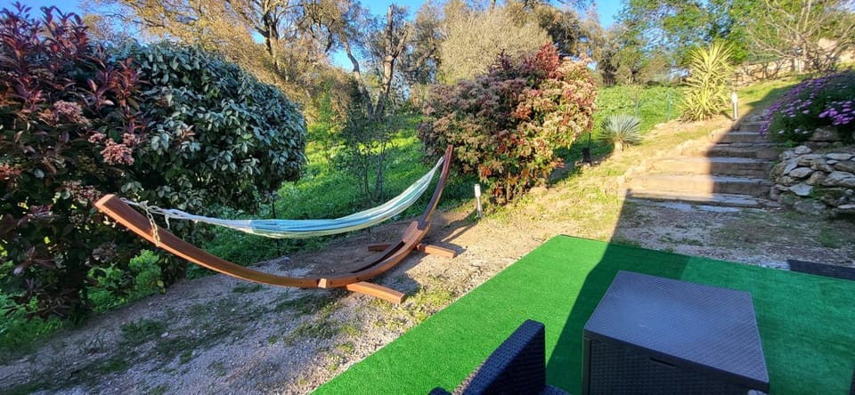 Natural landscape, Garden, Garden, Garden view