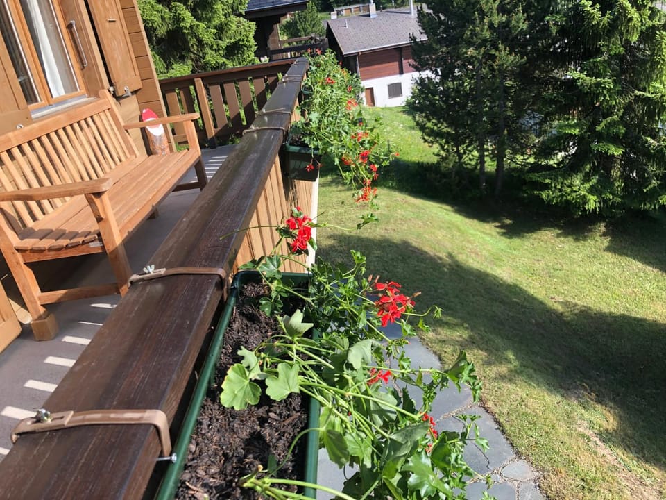 Spring, Balcony/Terrace