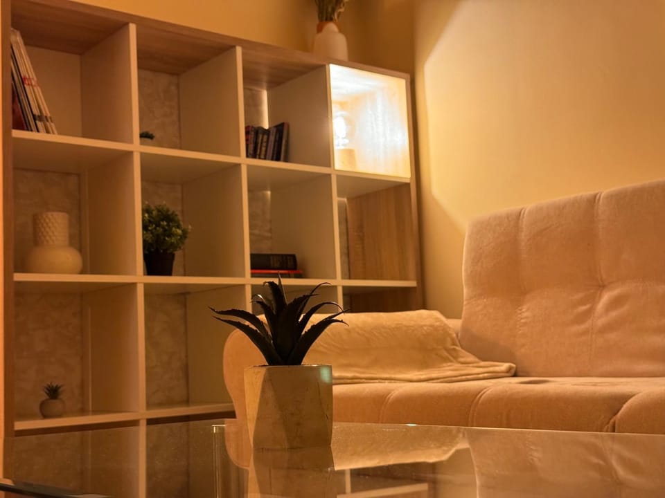 Library, Living room, Seating area