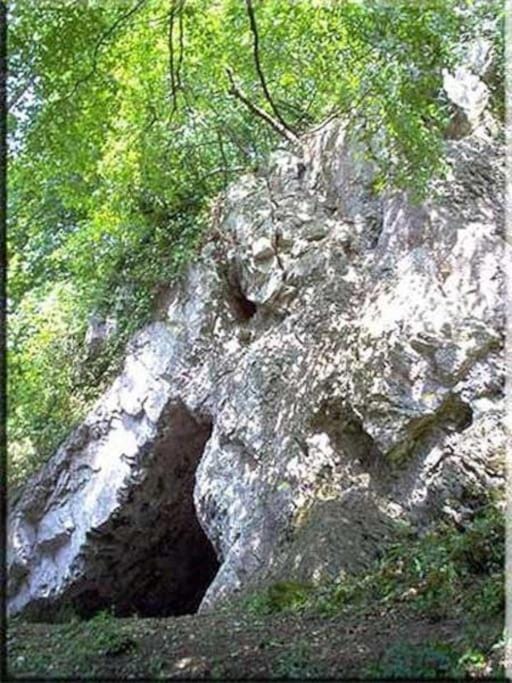 Escapade Ardenne: 16 pers House in Wallonia, Belgium