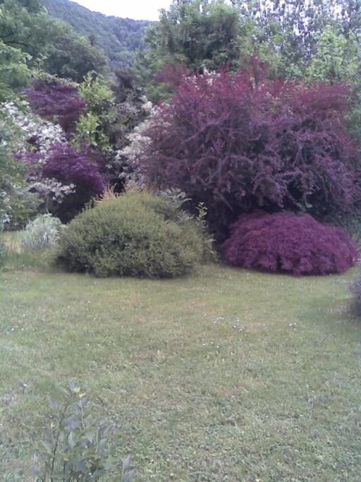 Escapade Ardenne: 16 pers House in Wallonia, Belgium