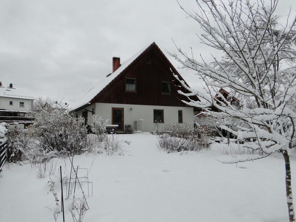 Property building, Winter
