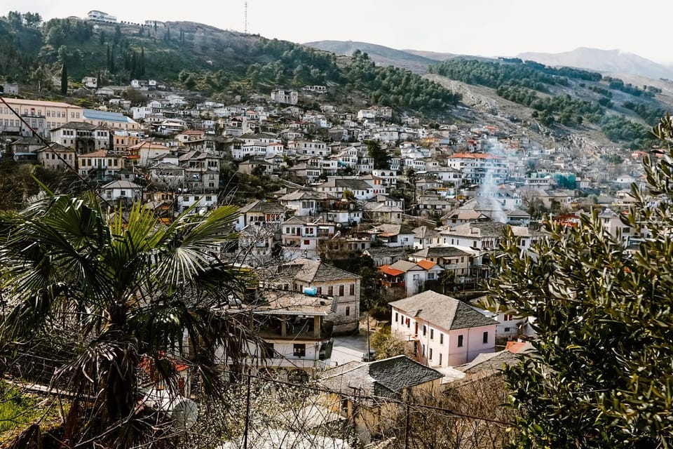 City Grove: Blooms and Beds Vacation rental in Vlorë County, Albania