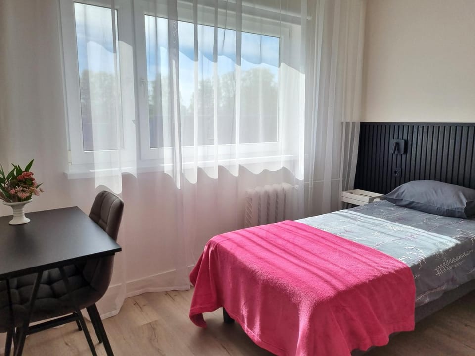 Bed, Photo of the whole room, Bedroom, Garden view