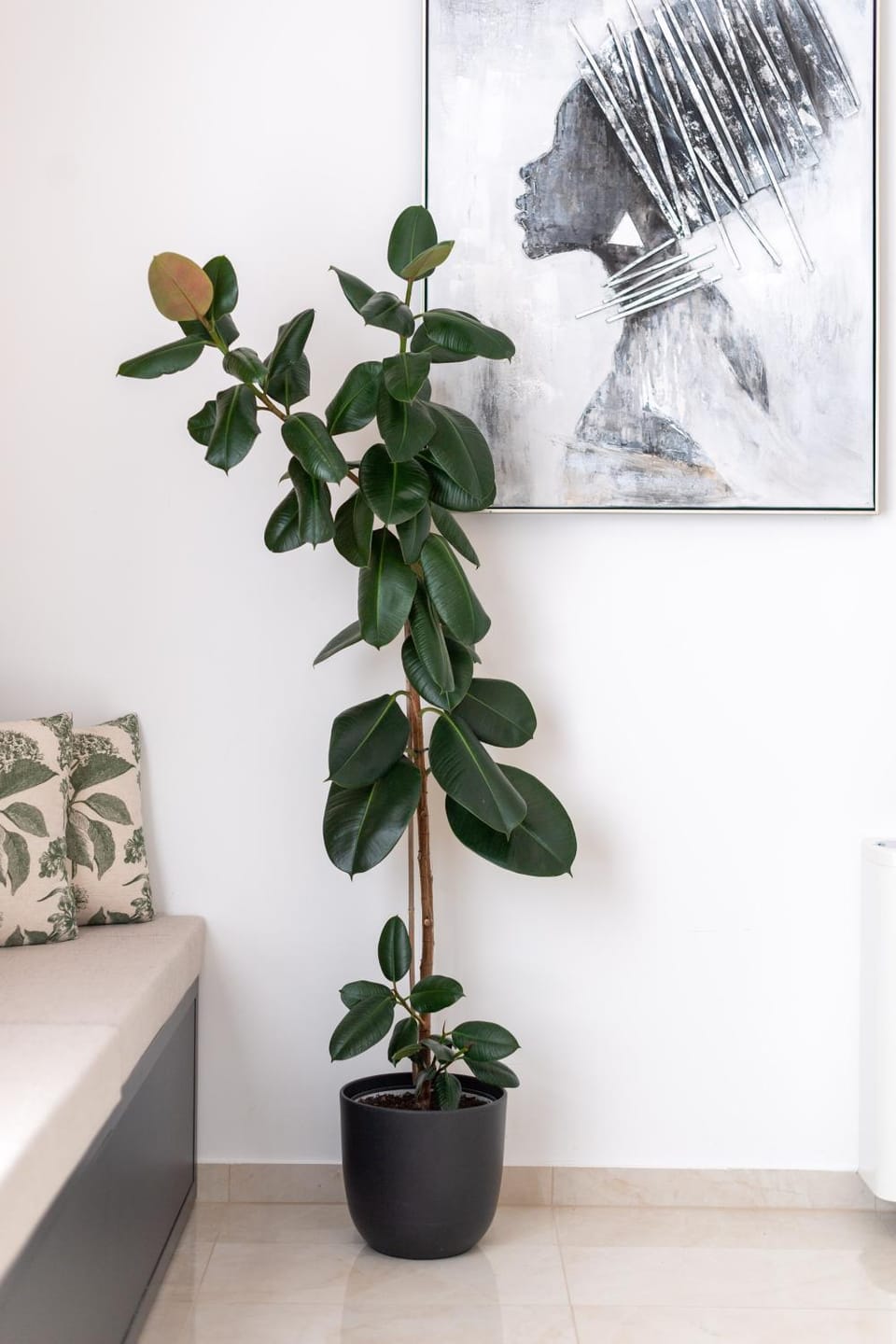 Living room, Decorative detail, Seating area