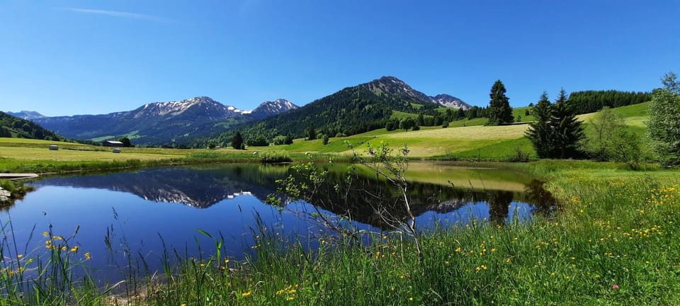 Natural landscape