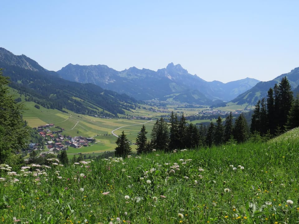 Summer, Hiking, Cycling