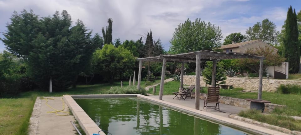 Spring, Day, Natural landscape, Garden, Garden view, Pool view, Swimming pool
