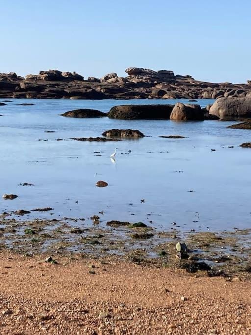 La Bernique blanche de Perros vue mer 4 personnes House in Perros-Guirec