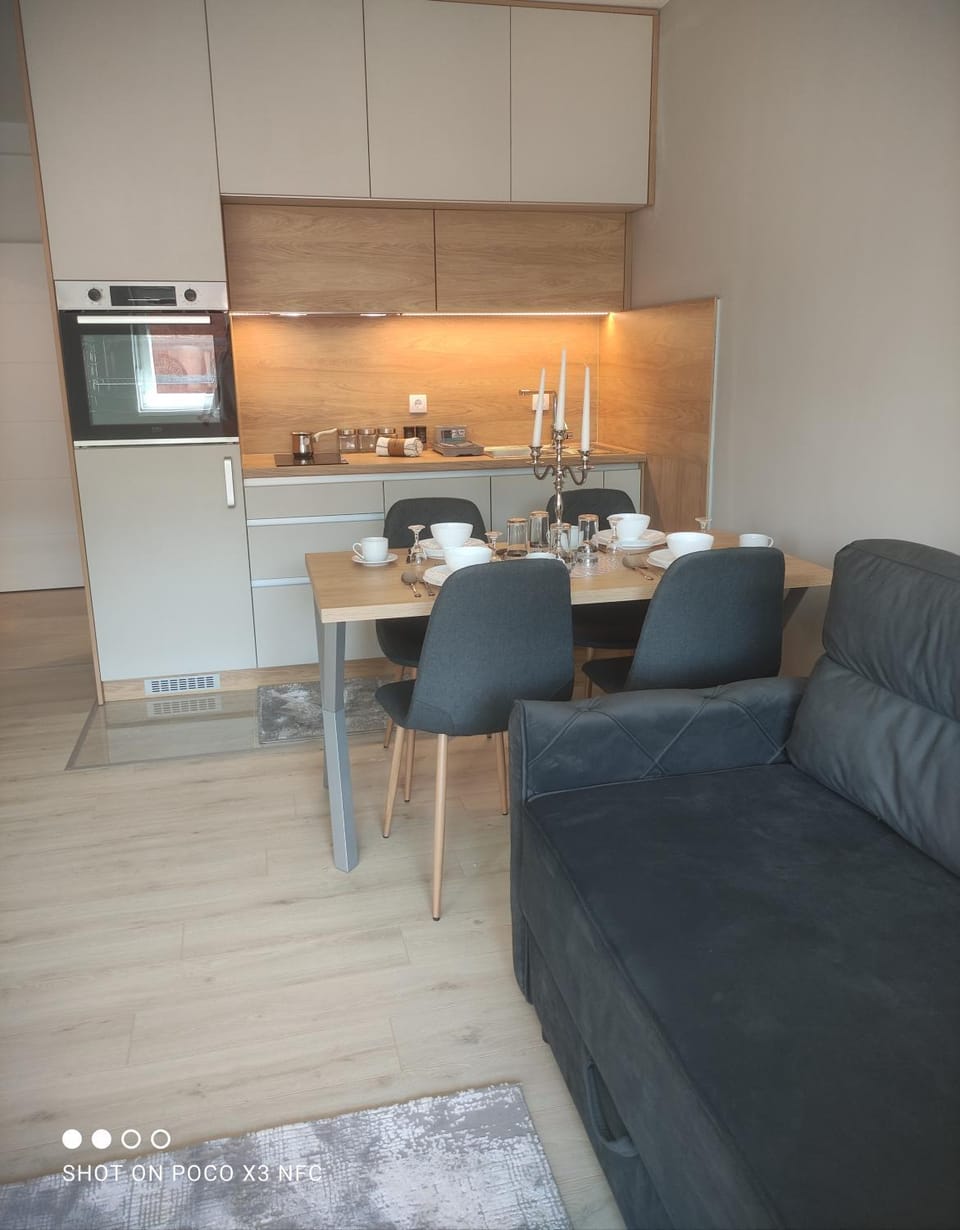 Central Lux ( U CENTRU GRADA, 30m od SPA centra) Apartment in Serbia