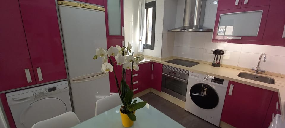 Kitchen or kitchenette, dishwasher, minibar, oven, pet friendly, stove, washing machine, dryer