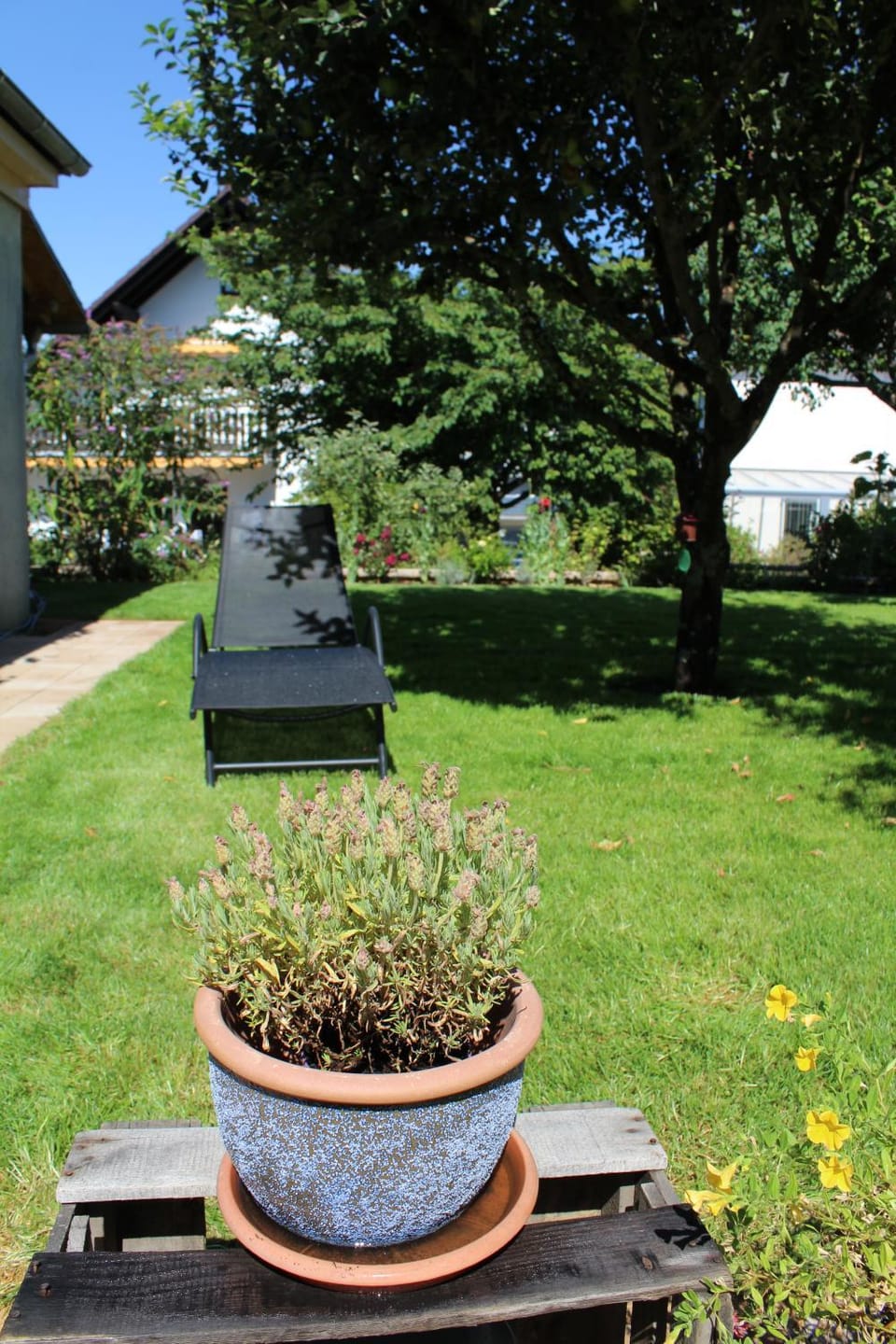 Garden, Garden view