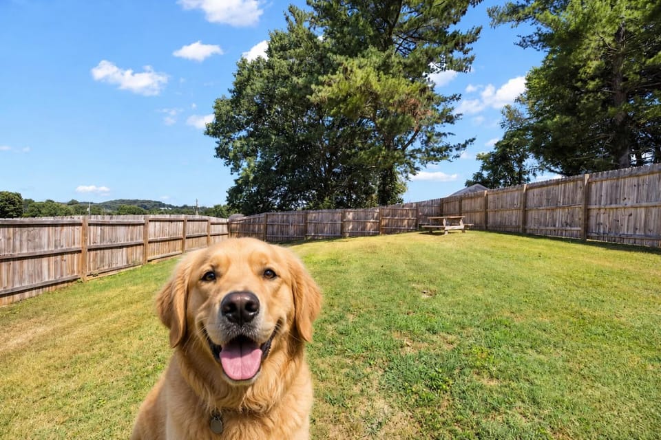 Garden, Pets, pet friendly