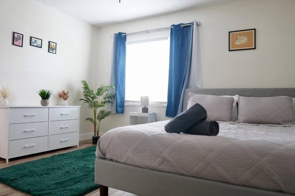Jay's Cozy Arts Apartment in Tampa