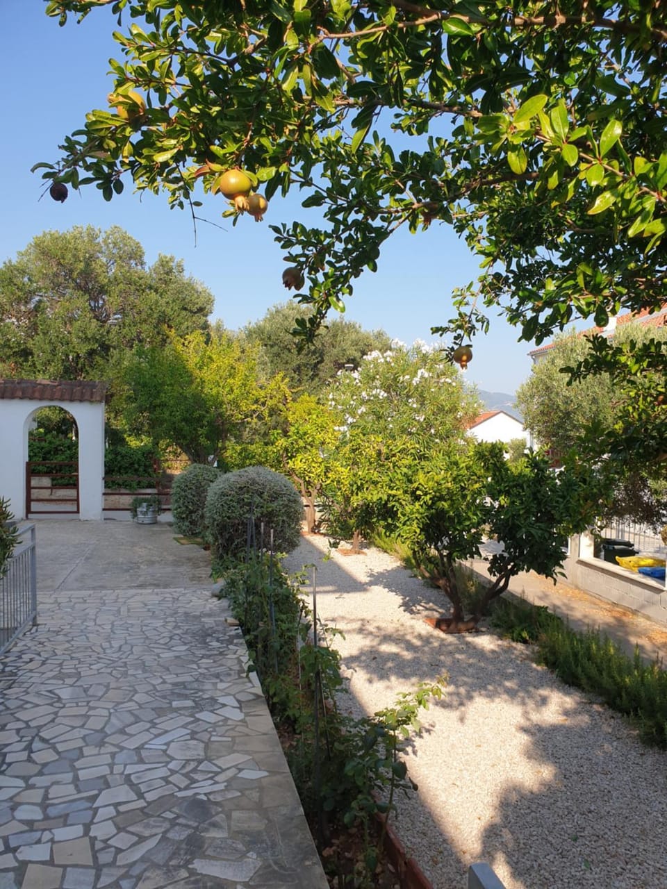 Facade/entrance, Garden view