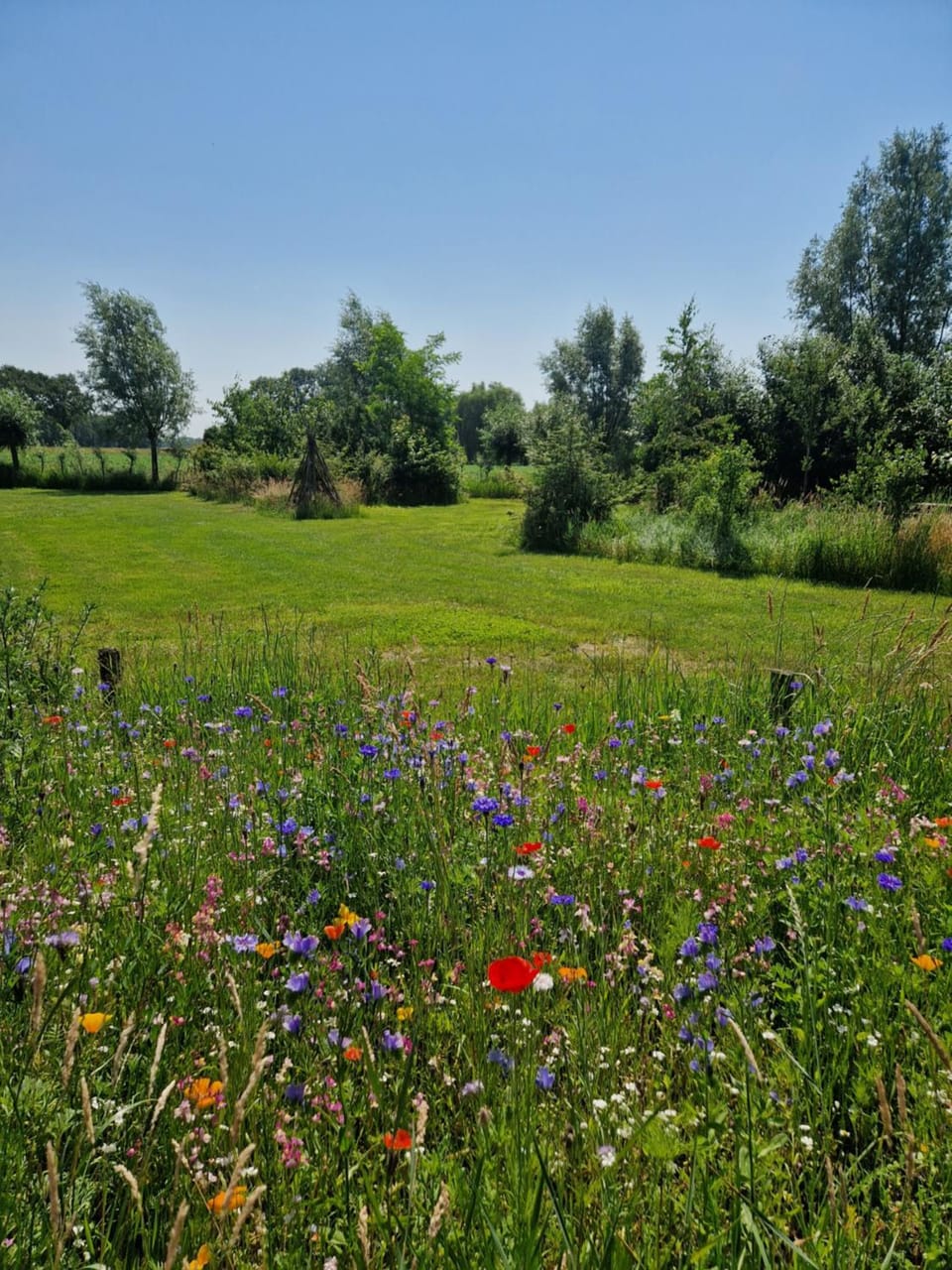 De Wilde Tuin - Tuinkamer Apartment in North Brabant (province)
