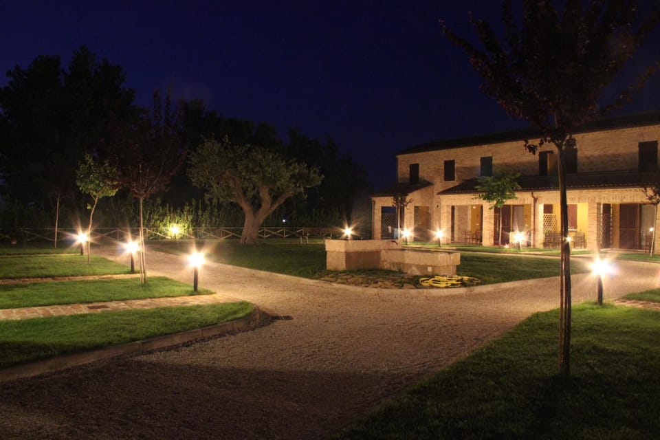 Patio, Night, Garden