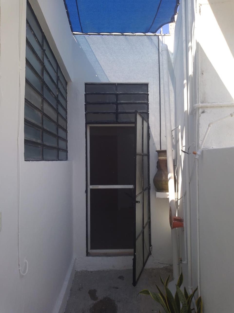 Rincón del artista Apartment in Merida