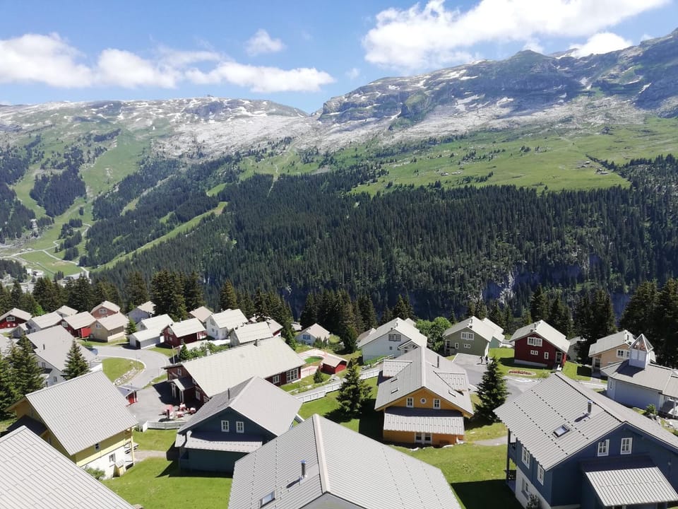 Mountain view