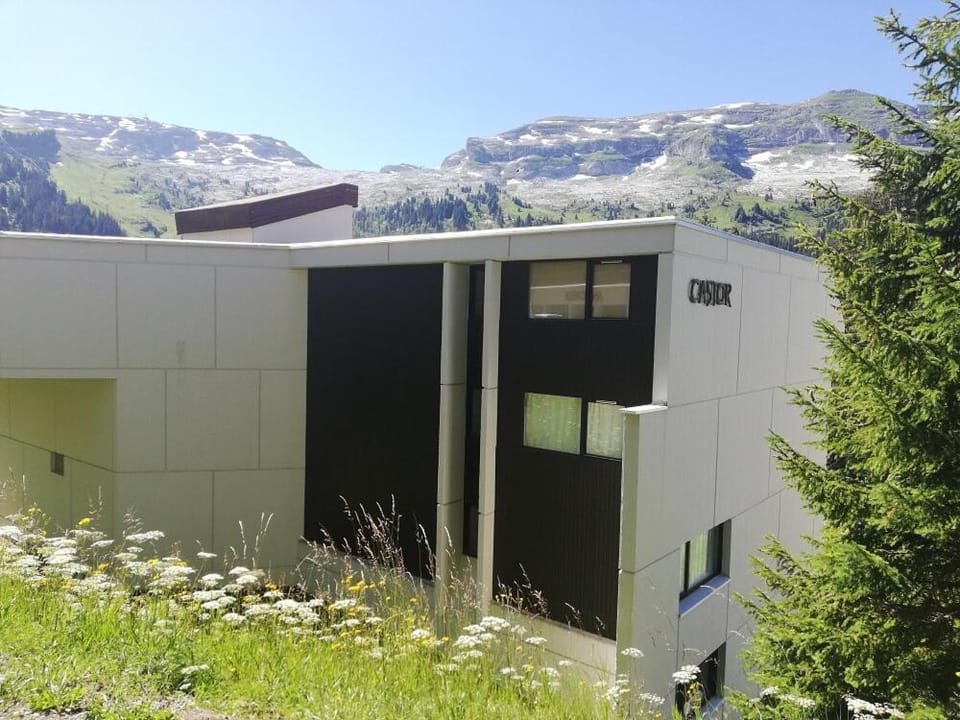 Mountain view