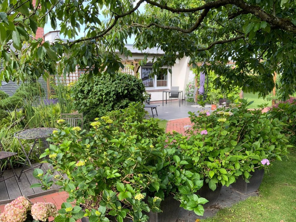 Haus Holger House in Waren