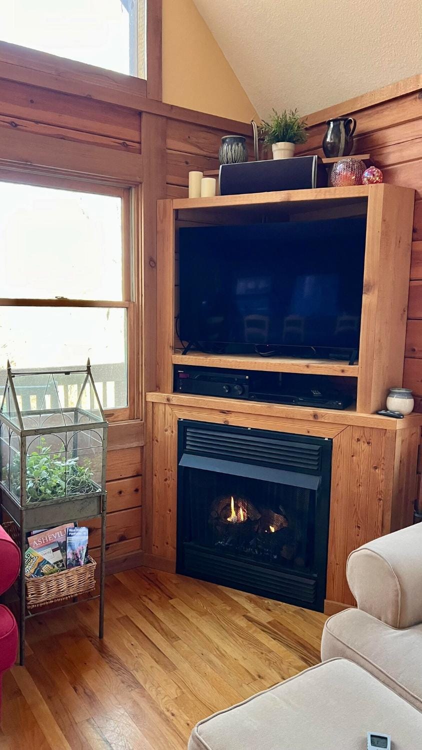 Top of the Line Asheville Mountain Cabin Cabin in Buncombe County