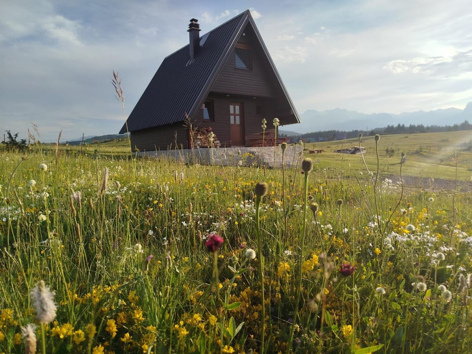 Brown cabin Cabin in Montenegro
