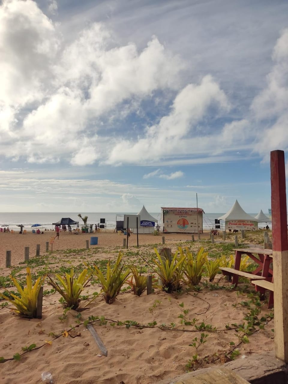Natural landscape, Beach