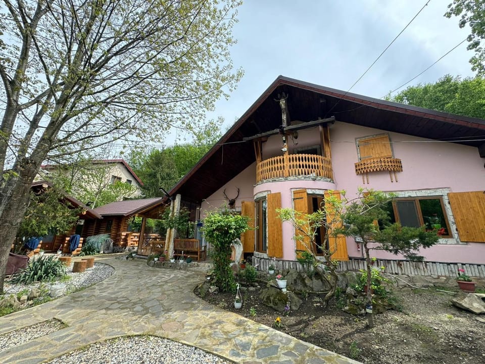 Property building, Spring, Garden, Garden view
