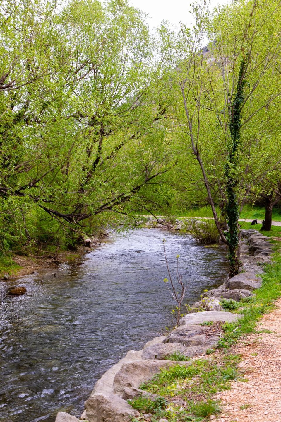 River view