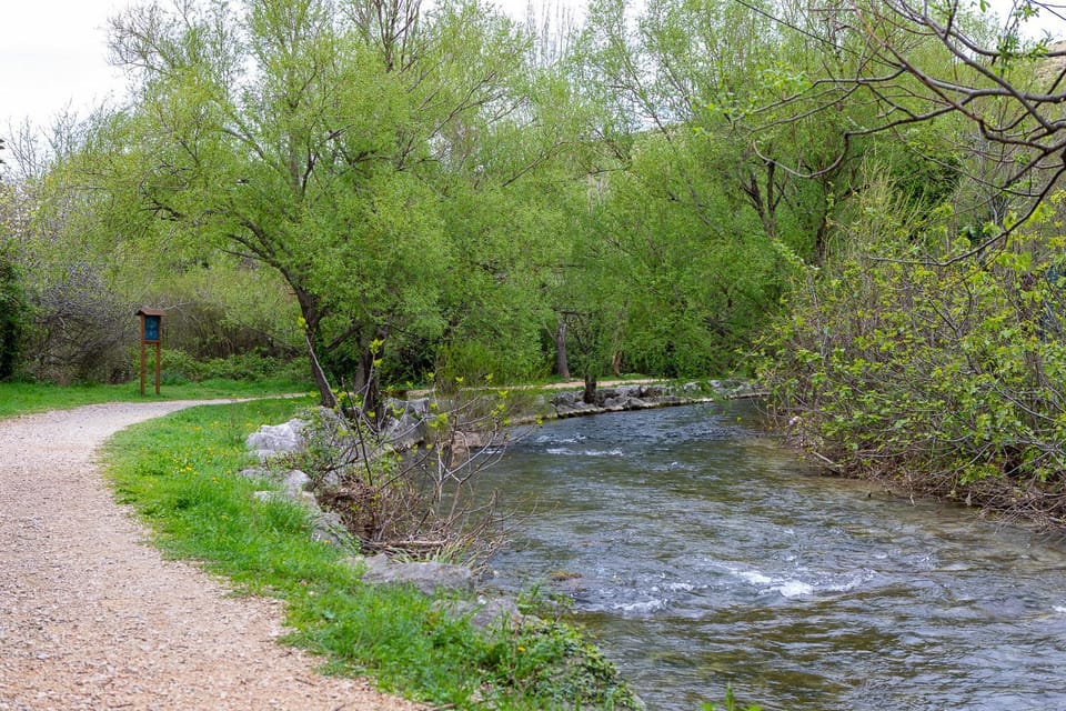 Spring, Day, Natural landscape