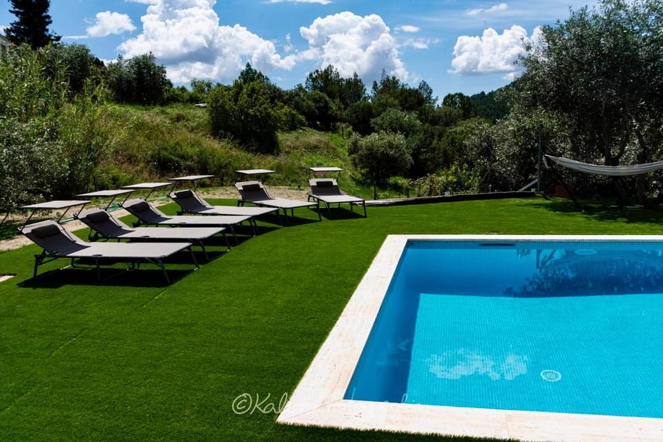 Day, Natural landscape, Garden, Solarium, Swimming pool, sunbed