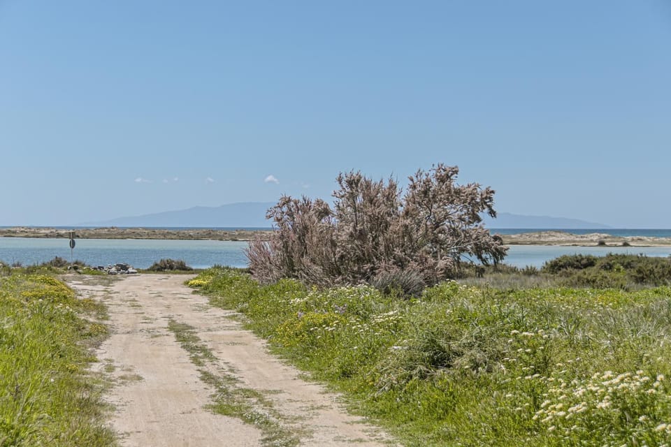 Spring, Natural landscape, Lake view, Sea view