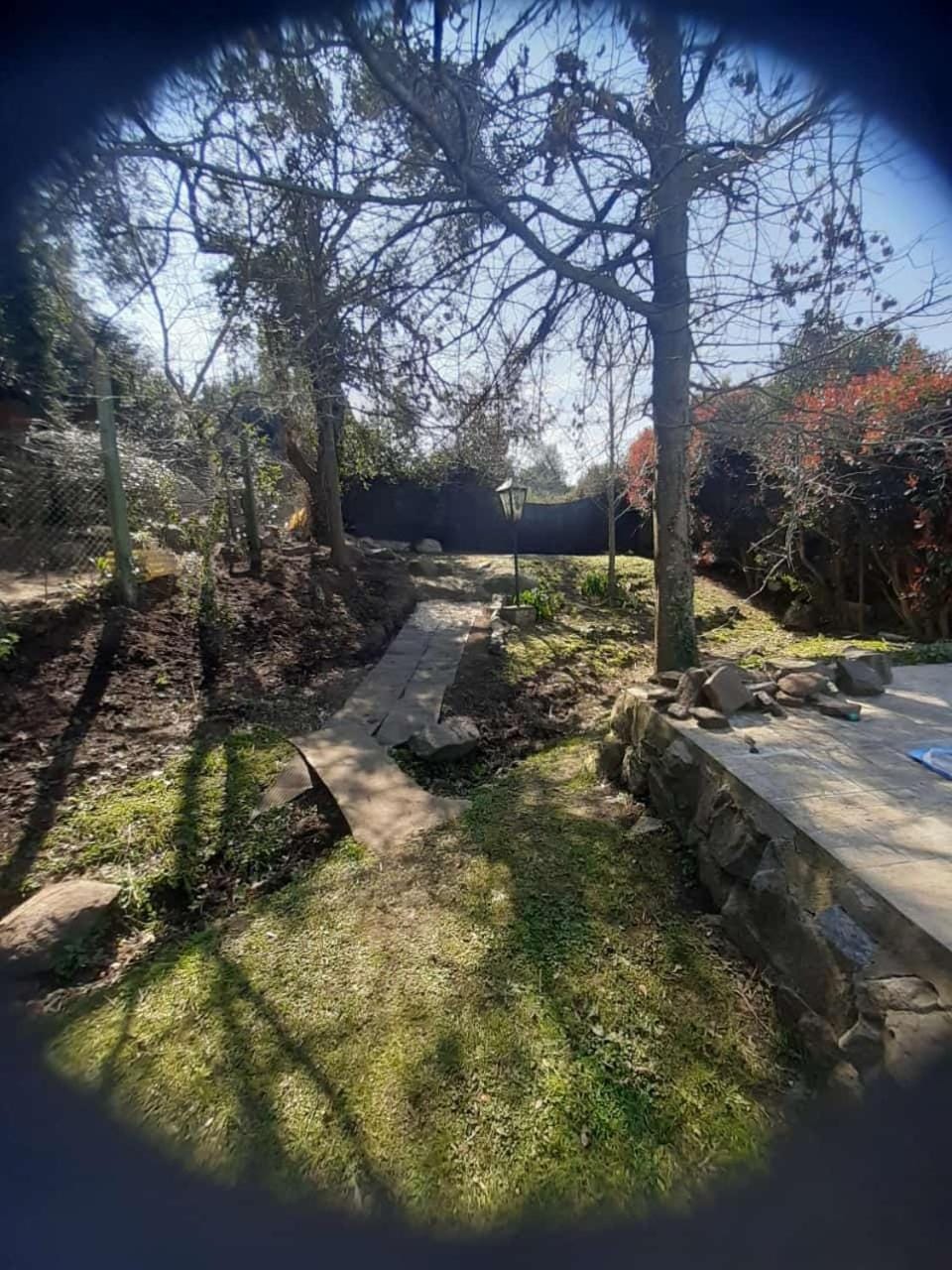 Garden view