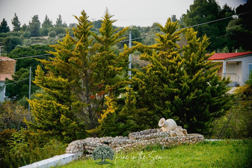 Natural landscape, Garden, Garden view