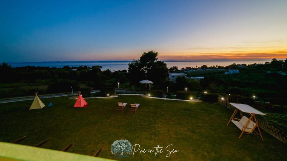 Garden, Garden view, Sea view, Sunset