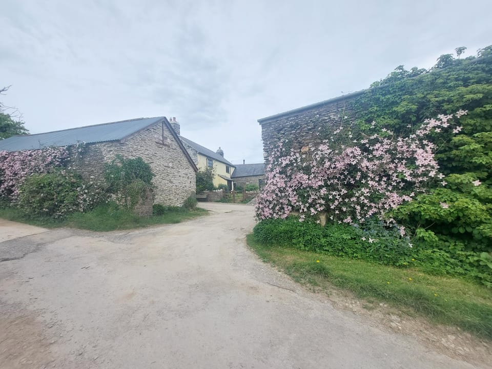 Facade/entrance, Natural landscape