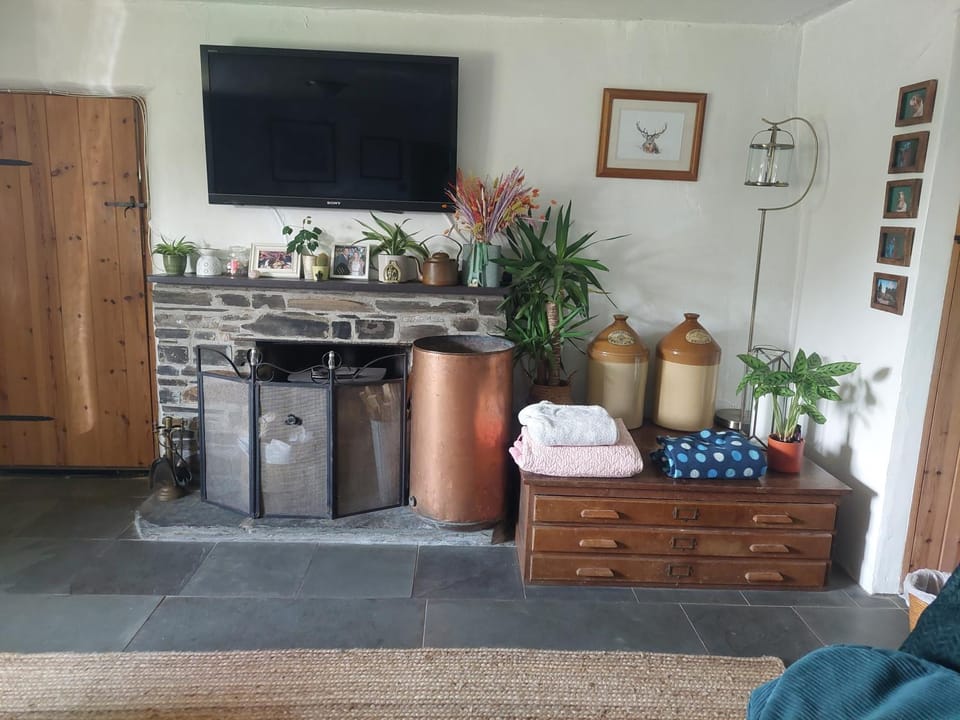 TV and multimedia, Living room, fireplace