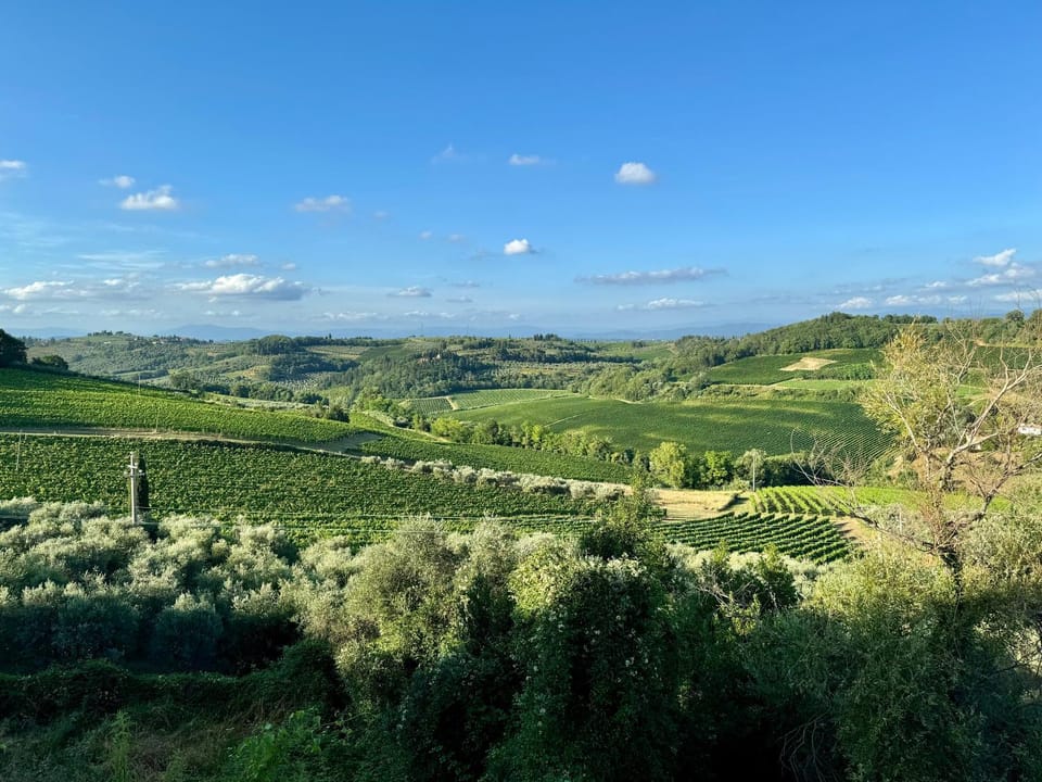 View (from property/room)