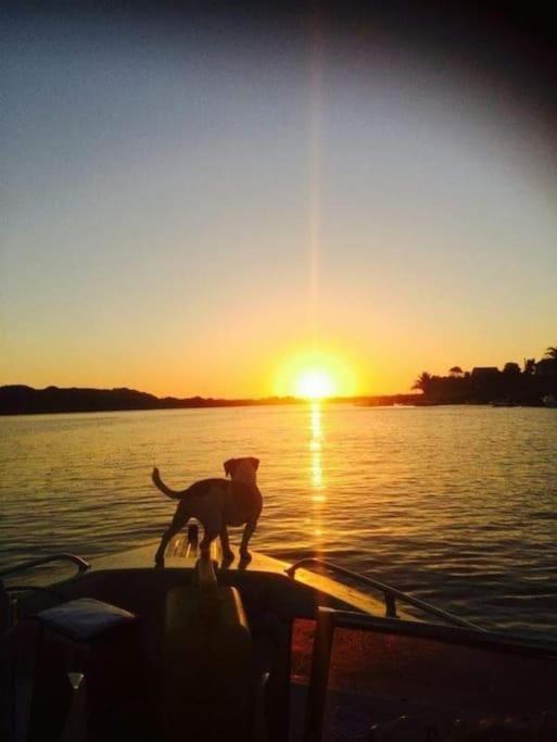 Erik's Place House in Port Elizabeth