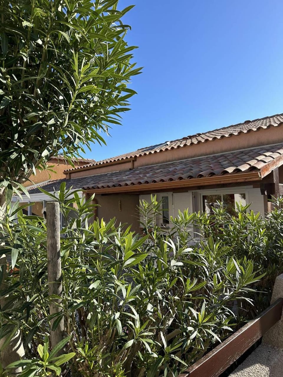 Property building, Spring, Day, Garden, Garden view
