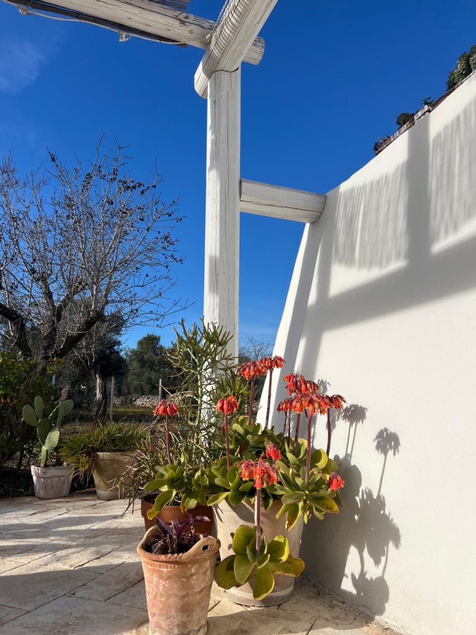 Spring, Day, Garden, Garden view